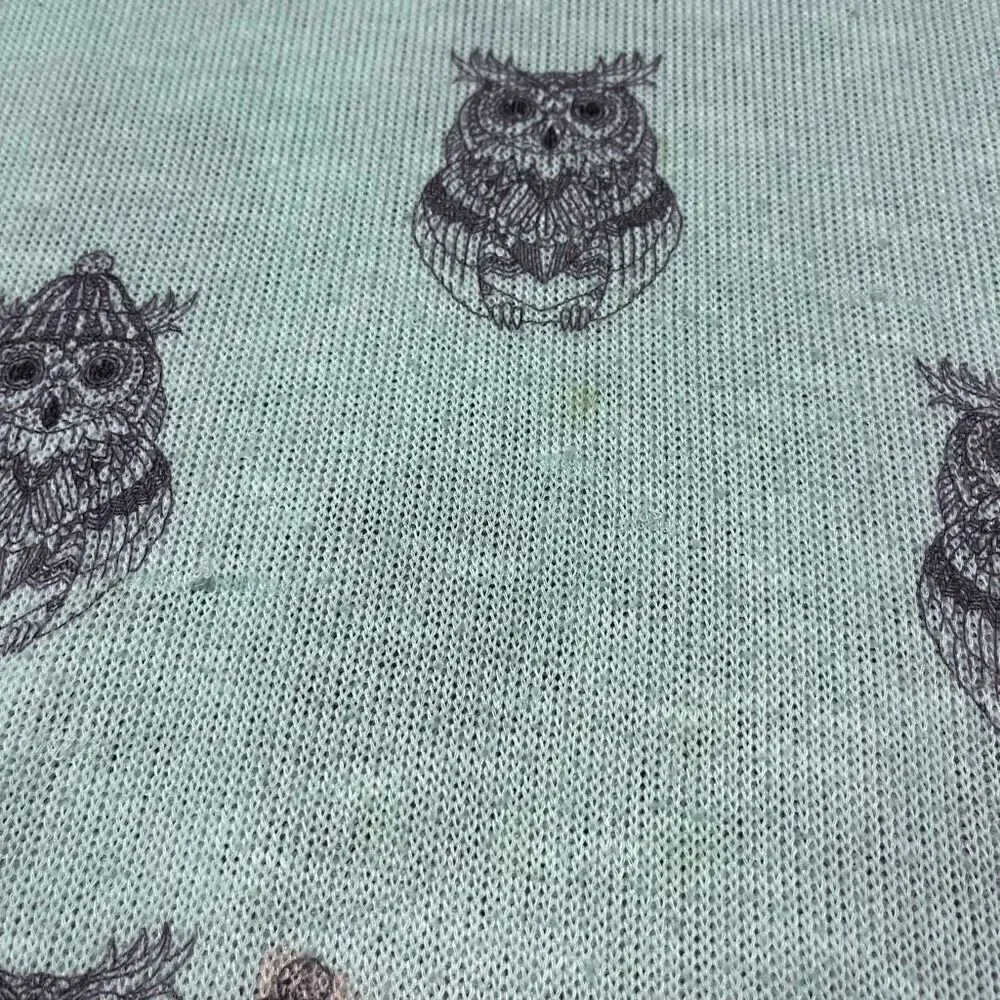 Mudd Mint Green Owl Pullover Close-Knit Sweater Girl’s 10